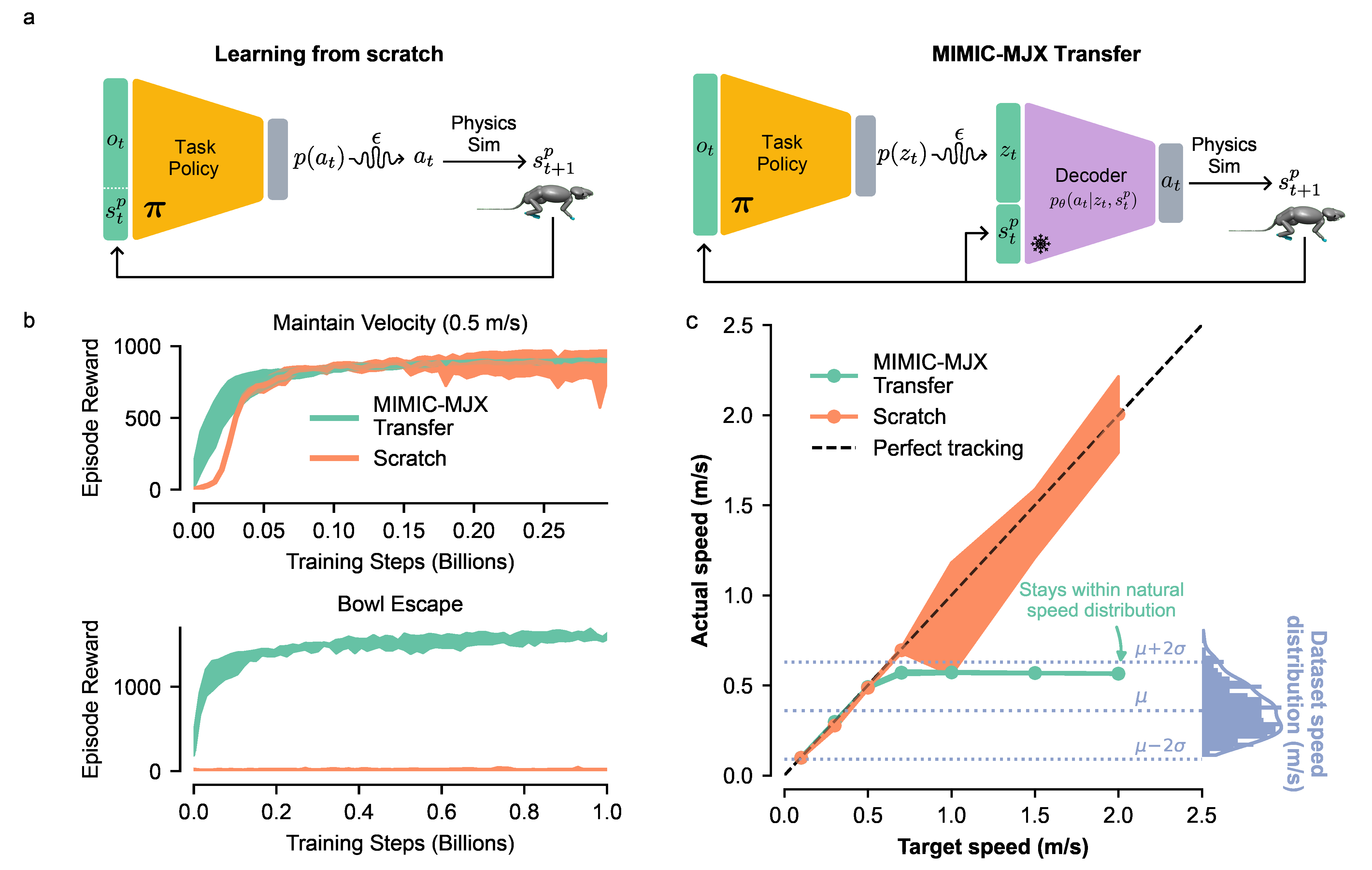MIMIC-MJX transfer architecture compared against learning from scratch, with task reward curves and locomotor speed tracking