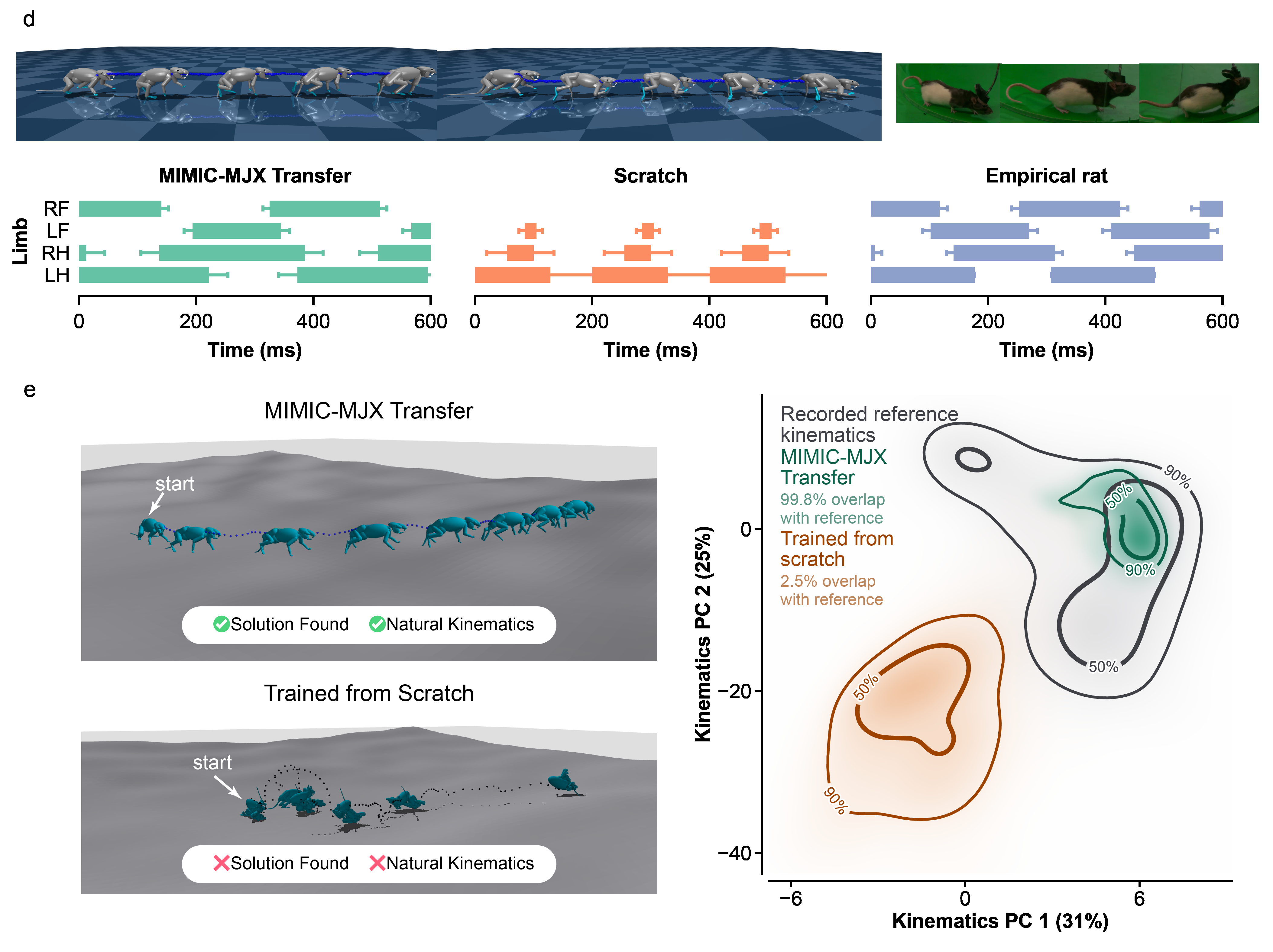 Footfall timing rasters and bowl escape kinematic occupancy comparing MIMIC-MJX transfer, from-scratch training, and recorded rat data